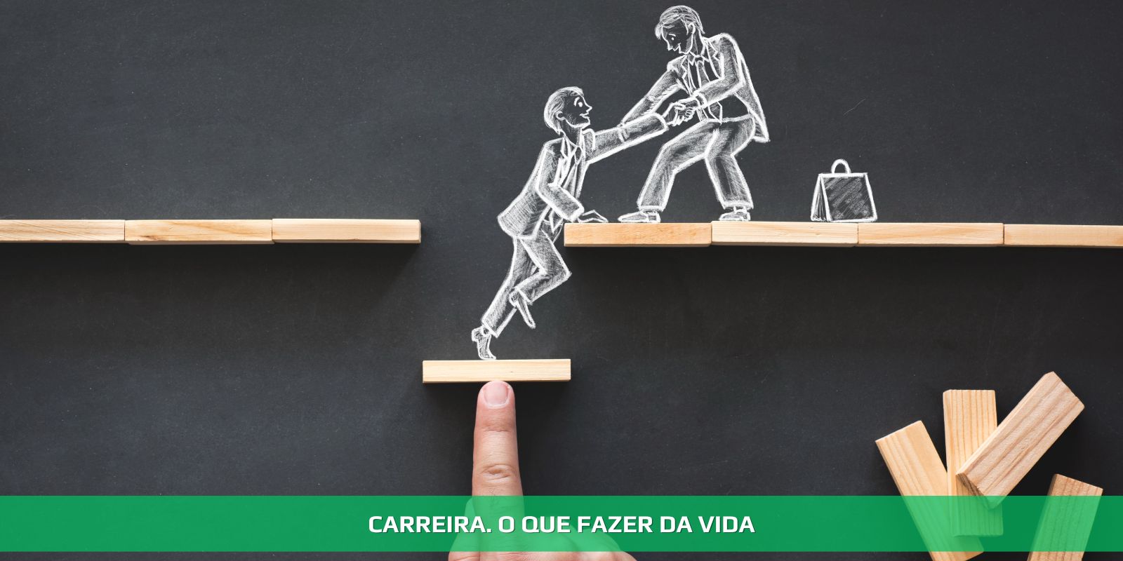 CARREIRA. A SUA HISTÓRIA PROFISSIONAL